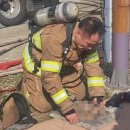 지곡119안전센터 이미지