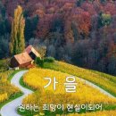 만나보리밥 이미지