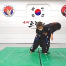 을지관 드림합기도 이미지