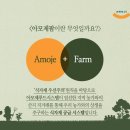 다이렉트 푸드