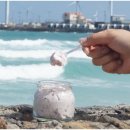 몽그레
