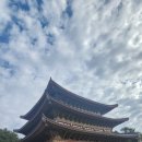 제주 올레길 8코스 이미지