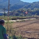 북천꽃단지 이미지