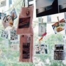 하울 (HOWL) 이미지