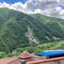 신선왕선 이미지