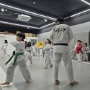 꿈꾸는석사태권도 이미지