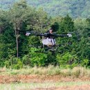 날아라 드론 이미지