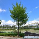 마창진공인중개사사무소 이미지