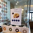 바움하우스 이미지