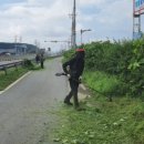 가자가자(GO GO) 이미지