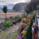 하회상가 화장실 이미지