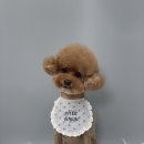 위드두유 이미지