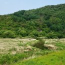 금마 보건지소 이미지