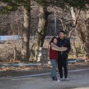 장흥수림원 이미지