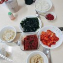한마음농장 | [5월 마켓체험단] 한마음농장의 무농약 쌀 백미, 현미