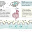 Re:Brain-Gut-Microbiota Axis in Alzheimer’s Disease 이미지