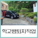 청학유치원 | 초등학교 뱀퇴치 작업 진행! 뱀그물망 설치와 뱀트랩 시공 후기