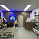 르네펫살롱 이미지