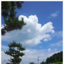 송정해변 이미지