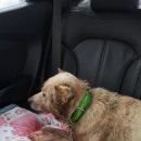 진숙농장 이미지