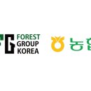 포레스트컨설팅
