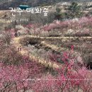 숲향기공원 화장실 | 눈과 코가 즐거웠던 봄 산책, 3년 만에 열린 진주매화숲의 짙은 향기