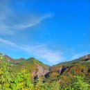 도계생선 이미지