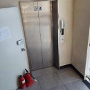 예일여자고등학교 이미지