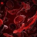 CW-1861-01 이미지