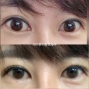 라라뷰티랜드제주