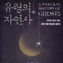 자연사진실 이미지