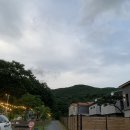꿉었닭 | [울산숙소] 대형견도 가기 좋은 부산근교 애견펜션 :: 울산 메르시펜션 101동 후기 ෆ