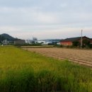삼박농장 네이버블로그