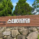 스테이댕댕
