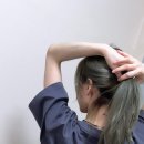 젤스타