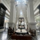 이상한 식물나라 | 베트남 꿈의 캠퍼스! JW 메리어트 푸꾸옥 오션뷰 발코니룸 완벽후기