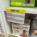 경남 마산 동물약국 이미지