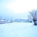 월하민박 이미지