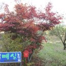 창현농장 이미지