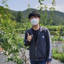 창선농장 이미지