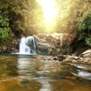 본초한의원 이미지