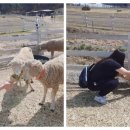 미동목장 이미지