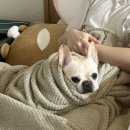 다리편한외과의원 네이버블로그