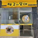 탱글이 문어 이미지