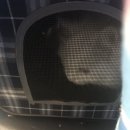 안정택동물병원 이미지