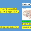 뇌과학지식 2번째(스트레스와 혈액뇌장벽) 이미지