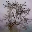 대승불교 정토종 임원 교육 이미지