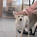 황자반놀이터 이미지