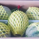 용마농장 이미지