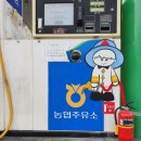 화천농협주유소 네이버블로그